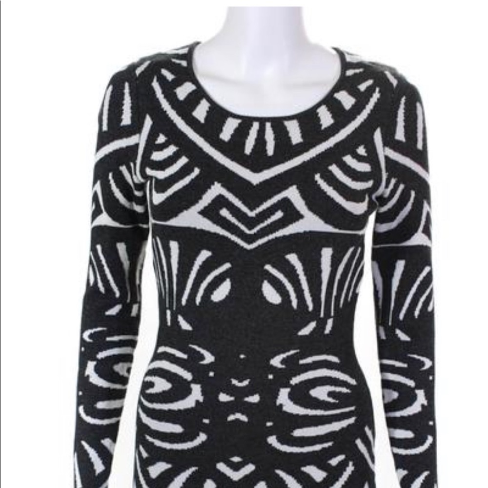 Parker Long Sleeve Mini Bodycon Dress